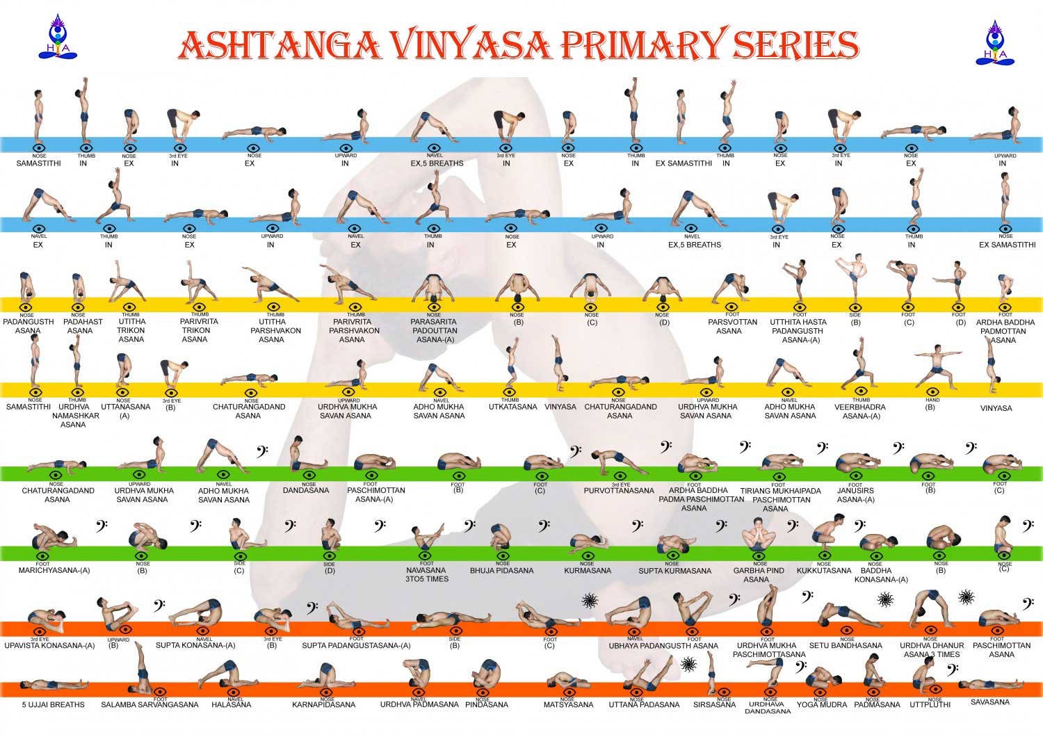 Ashtanga Primary Series Map